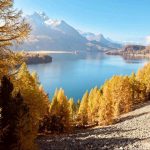 دانلود آهنگ جدید یارومه وای وای دلدارومه یار وای جونومه یار وای – هوش مصنوعی دانلود آهنگ جدید یارومه وای وای دلدارومه یار وای جونومه یار وای – هوش مصنوعی